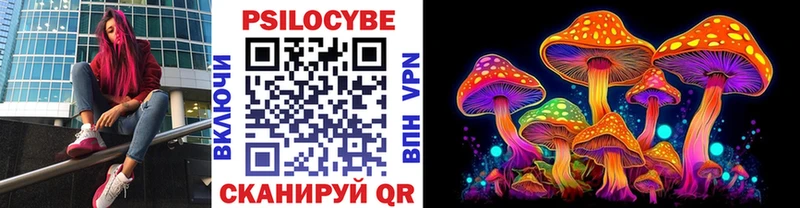 Купить закладки  Пугачёв  Галлюциногенные грибы мухоморы 