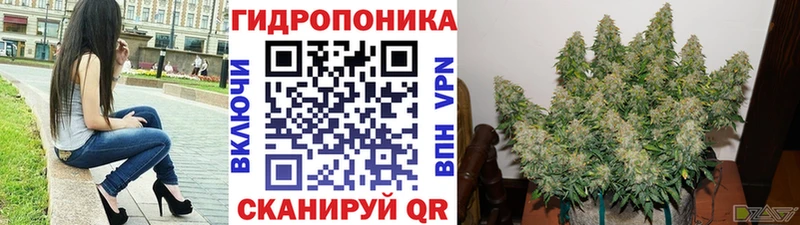 Каннабис гибрид  Купить где  Пугачёв 
